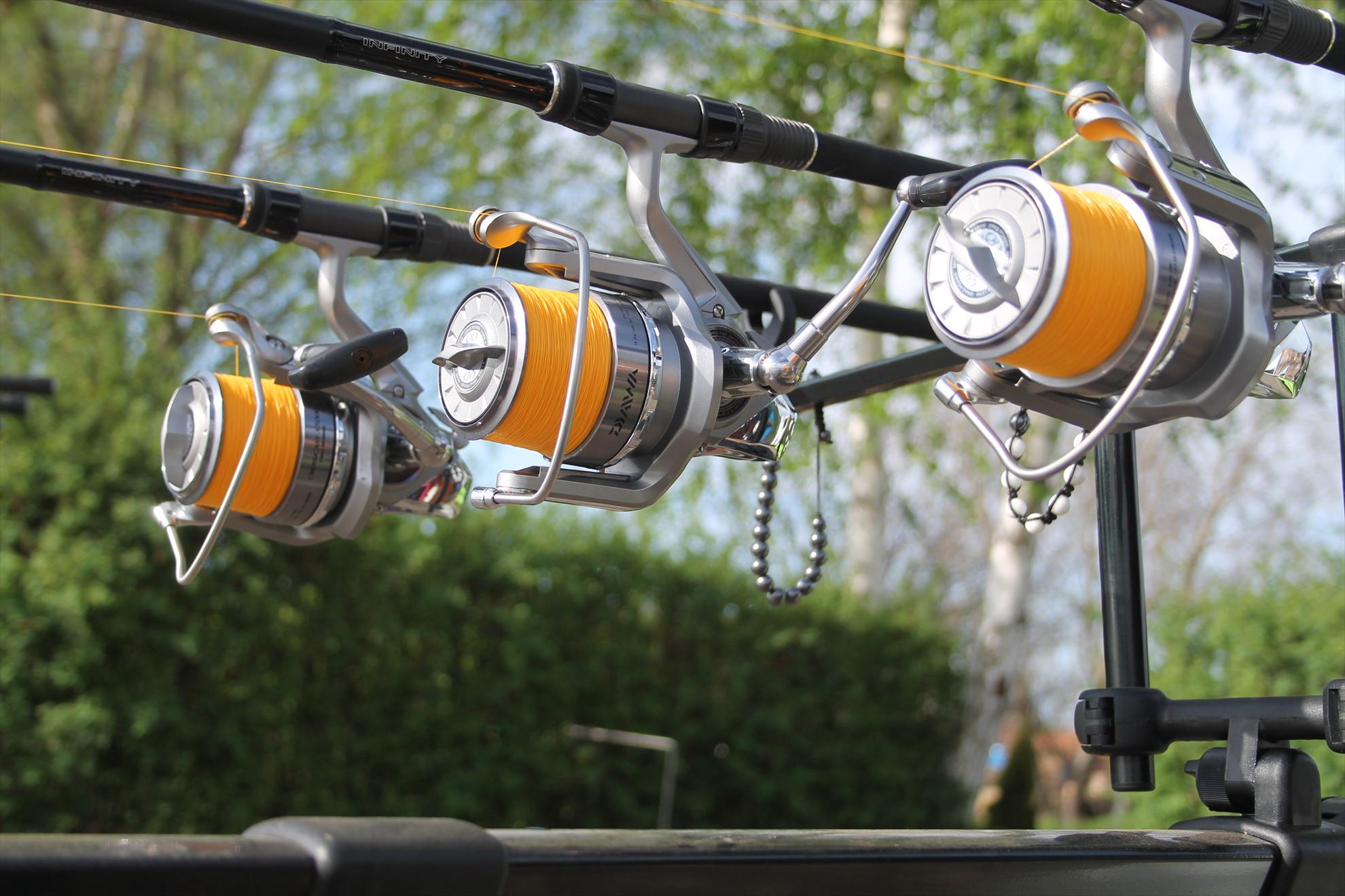 My new passion...3 - nagykallo-aprilie2013-665.JPG